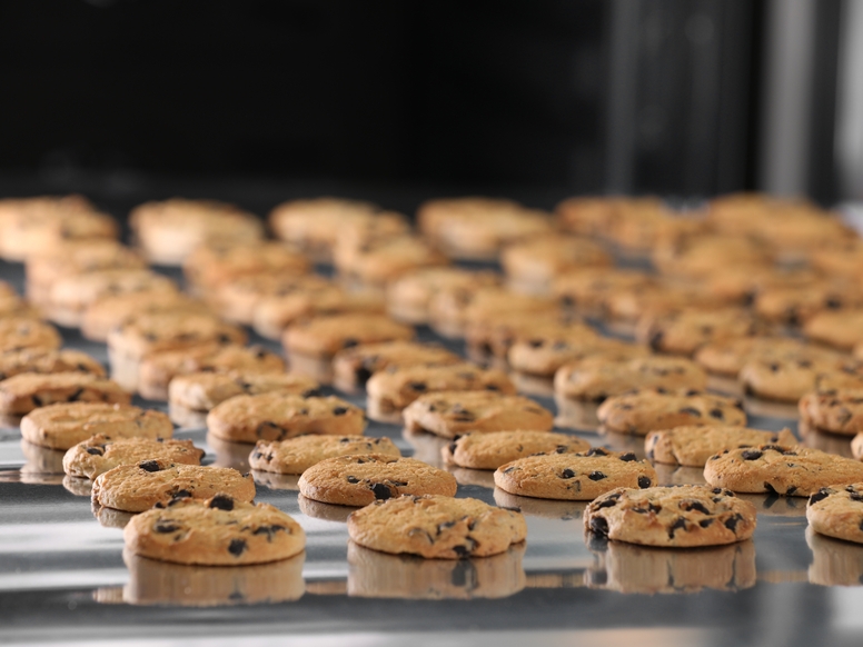 AdobeStock 498716817